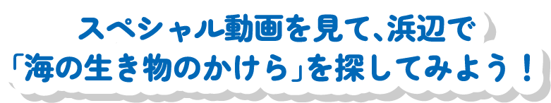 スペシャル動画を見て、浜辺で「海の生き物のかけら」を探してみよう！ 